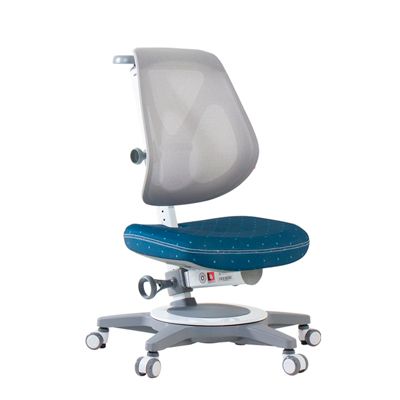 EGO Ergonomic Chair