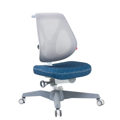 EGO-C Ergonomic Chair