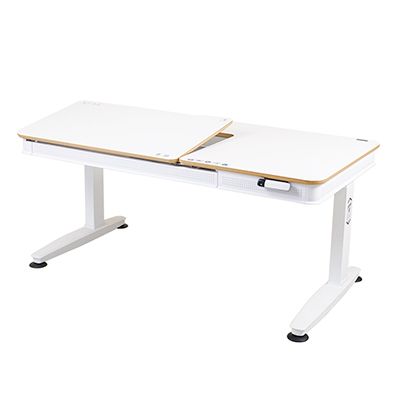 E6-140S Electric Ergonomic Desk